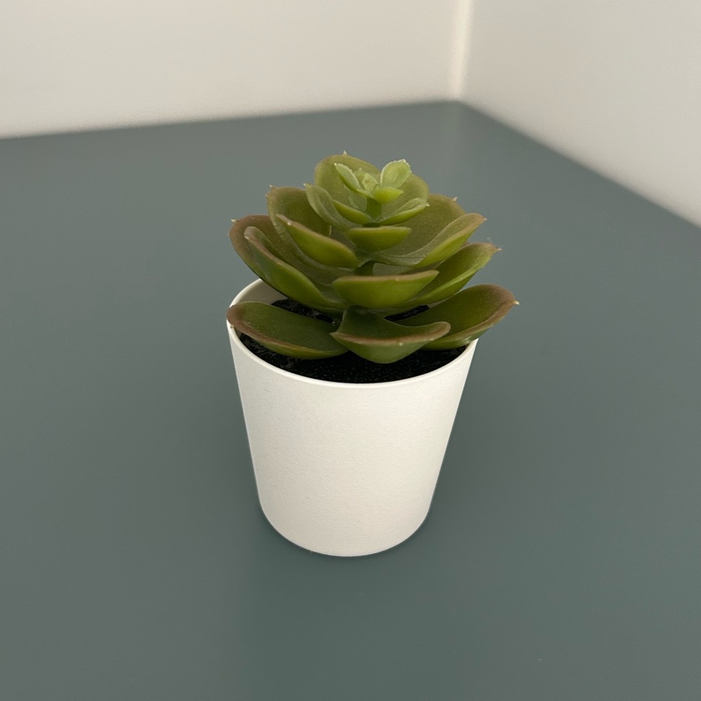 Fake Succulent Planter